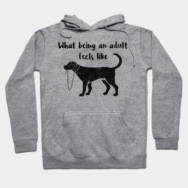 What Being an Adult Feels Like - Funny Immaturity design Hoodie by nvdesign